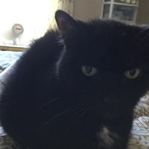 Meet your Posher, Patti